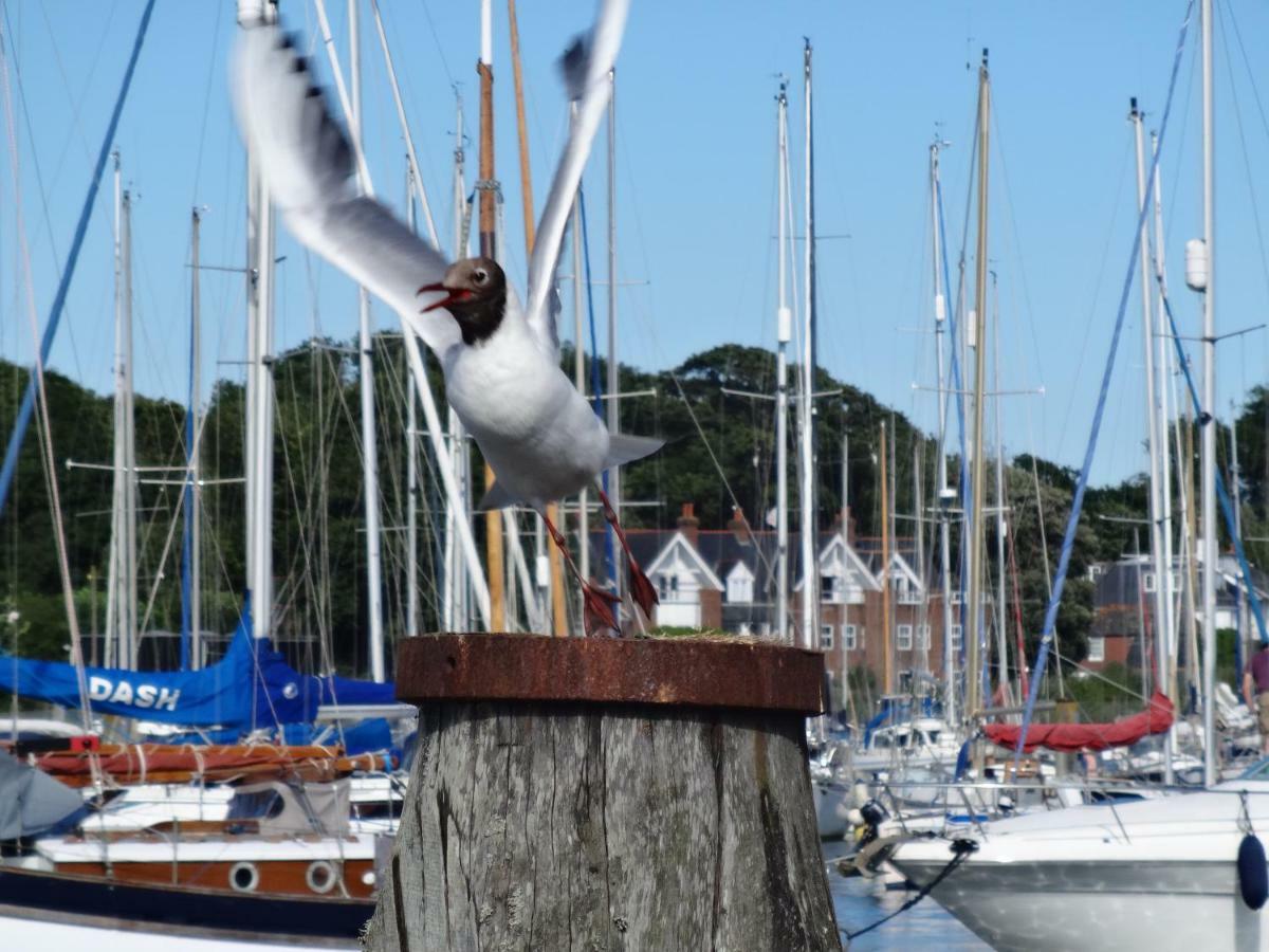 Bentleys Coast And Country B&B Lymington Dış mekan fotoğraf